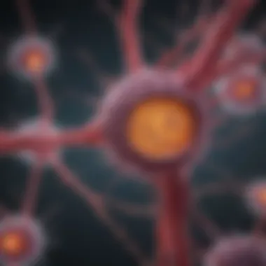 Diagram illustrating the metastatic pathway influenced by dissociated tumor cells