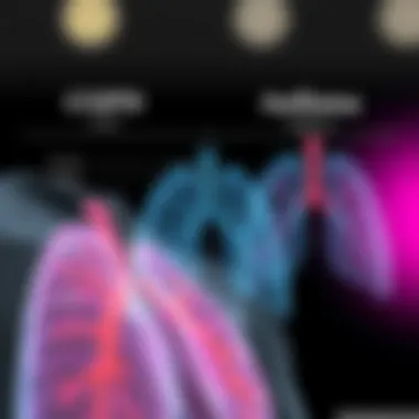 Visual comparison of COPD and asthma characteristics