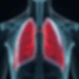 Illustration depicting the lungs affected by COPD