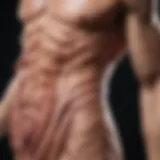 Muscle degeneration illustration