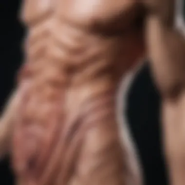 Illustration of Muscle Degeneration in DMD Muscle degeneration illustration