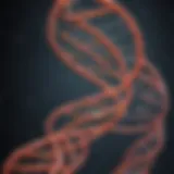 Schematic representation of DNA extraction techniques