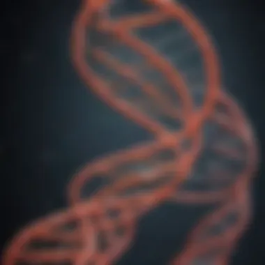 Schematic representation of DNA extraction techniques