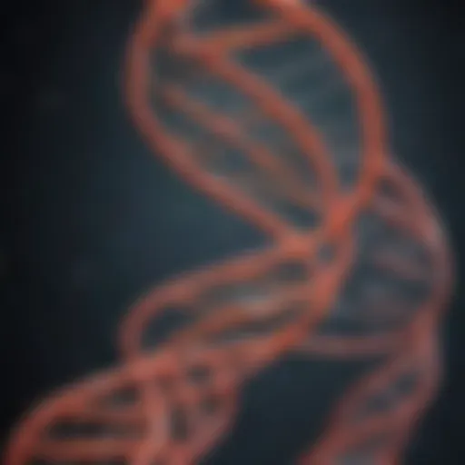 Schematic representation of DNA extraction techniques