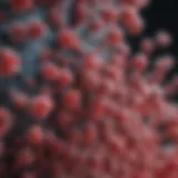 Microscopic view of HIV particles