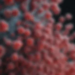 Microscopic view of HIV particles