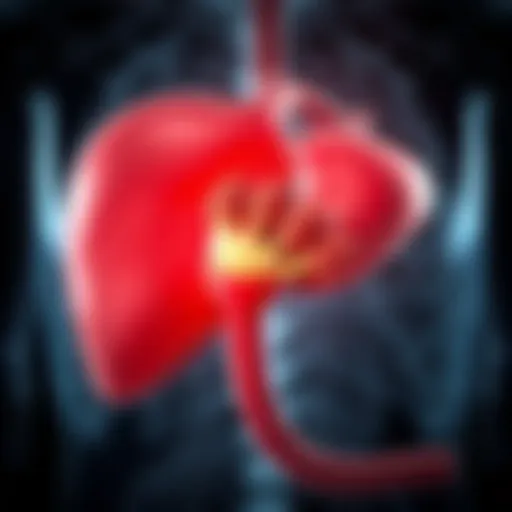 Detailed illustration of liver anatomy highlighting deterioration.