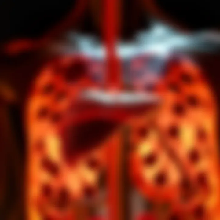 Treatment Options for End Stage Liver Disease Conceptual image illustrating treatment options for liver disease.