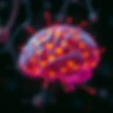 Neuroplasticity in Action A vibrant brain with neural connections highlighted to symbolize neuroplasticity