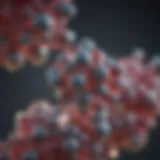 Molecular structure of estradiol