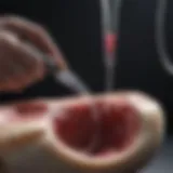 Visual representation of bone marrow extraction