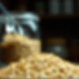 Examining Oat Bran: Efficacy for Weight Loss Introduction