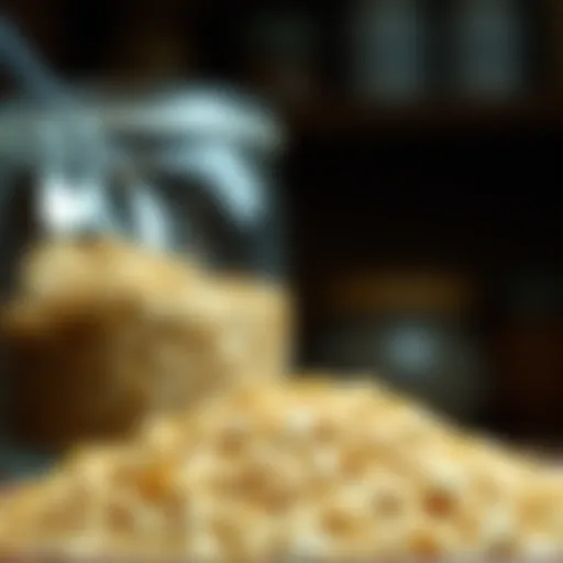 Examining Oat Bran: Efficacy for Weight Loss Introduction