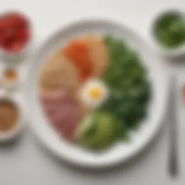 A close-up of a balanced plate featuring proteins, grains, and greens
