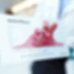 Graph illustrating vaccine efficacy against various diseases