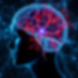Neural Mechanisms of Akinesia Neurological pathways involved in akinesia