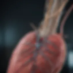 An advanced angiography setup showcasing high-resolution imaging technology
