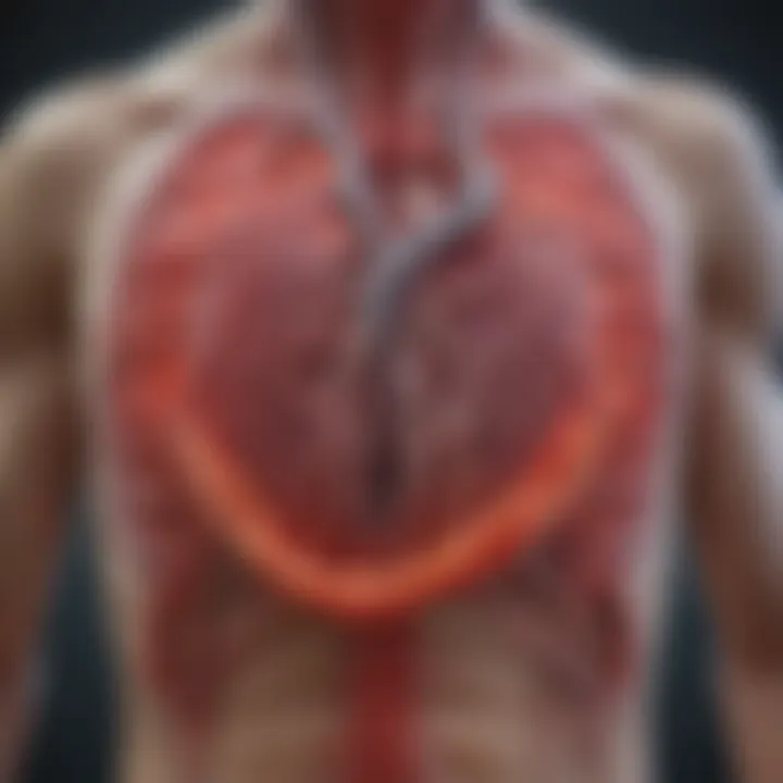 A visual representation of the benefits of angiography and PCI