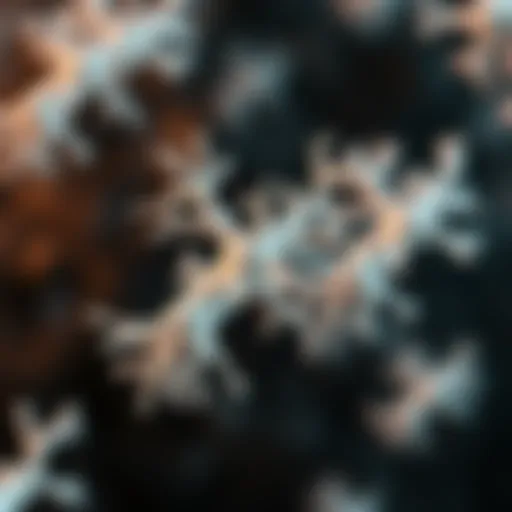 Illustration depicting the structure of Bifidobacterium pseudocatenulatum