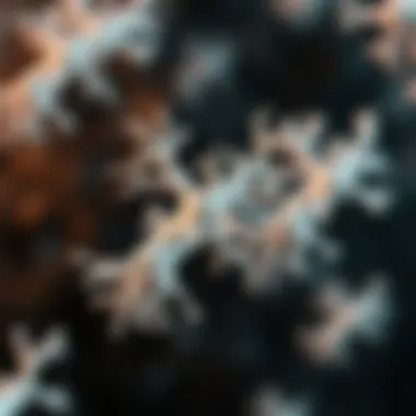 Structural Representation of Bifidobacterium pseudocatenulatum Illustration depicting the structure of Bifidobacterium pseudocatenulatum