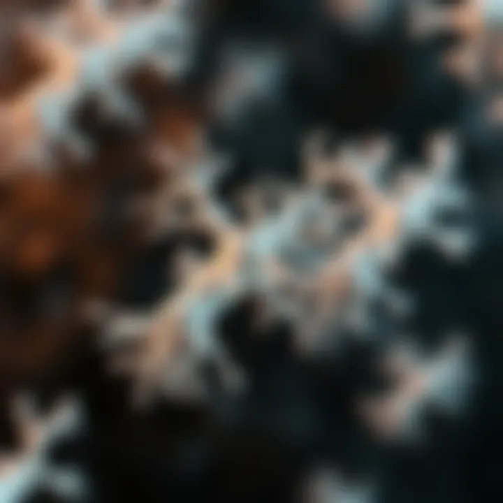 Structural Representation of Bifidobacterium pseudocatenulatum Illustration depicting the structure of Bifidobacterium pseudocatenulatum