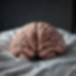 Conceptual representation of brain waves