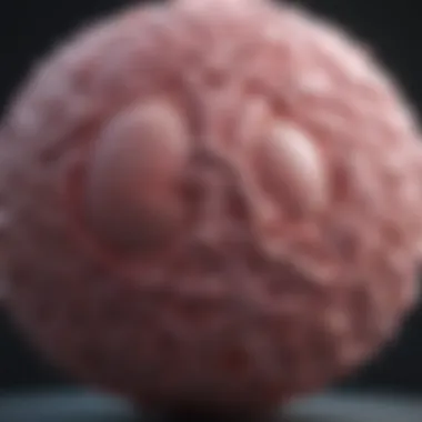 Simulation of Tumor Behavior Graphical representation of tumor behavior simulation