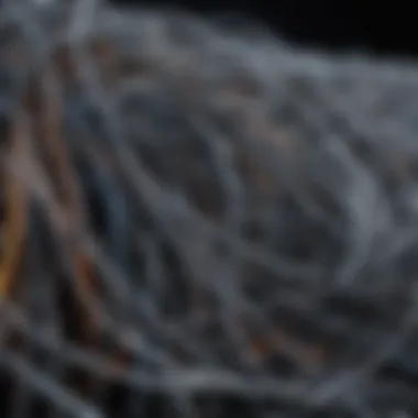 Manufacturing Techniques for Carbon Nanotube Wires An overview of manufacturing techniques for carbon nanotube wires, highlighting innovative methods.