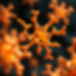 Illustration of catalase enzyme structure