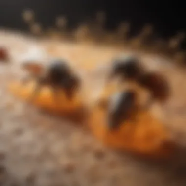 Immune Response Mechanism Illustration of the immune response in hives