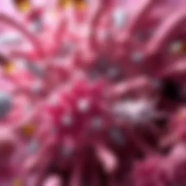 Illustration of diverse bacterial types in the gut