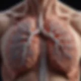 Illustration of lung structure affected by emphysema