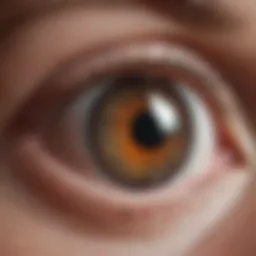 Detailed view of an intraocular lens