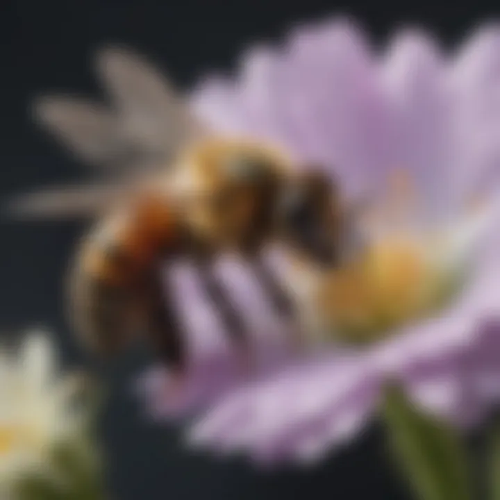 Close-up of a bee pollinating a blooming flower, highlighting the ecological role of flowering plants.