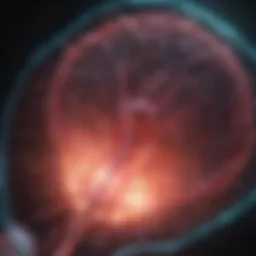 Ablation technique demonstrating the precision of tumor targeting in liver tissues.