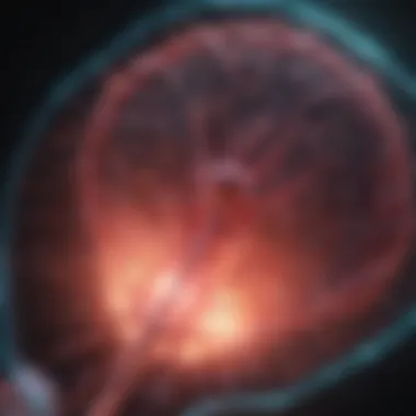 Precision Targeting in Hepatocellular Carcinoma Ablation Ablation technique demonstrating the precision of tumor targeting in liver tissues.