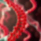 Genetic structure related to sickle cell disease