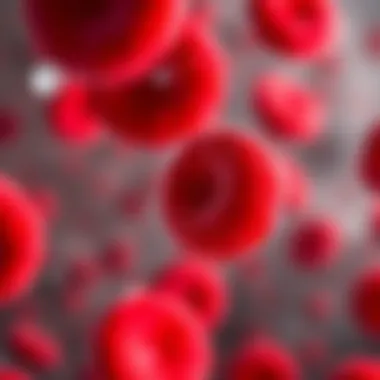 Altered Red Blood Cell Morphology Red blood cells affected by sickle cell disease