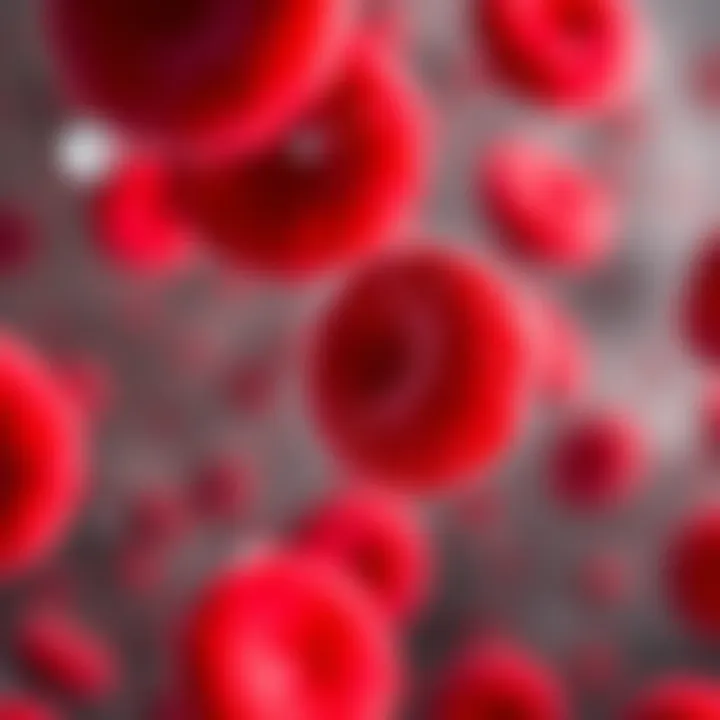 Altered Red Blood Cell Morphology Red blood cells affected by sickle cell disease