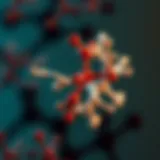 Molecular structure of histone H4