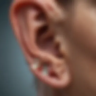 Anatomy of the Ear Illustration of the anatomy of the ear highlighting the eardrum.