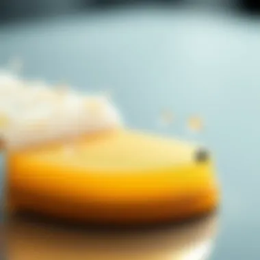 Infographic detailing the diverse applications of hollow fibre membranes