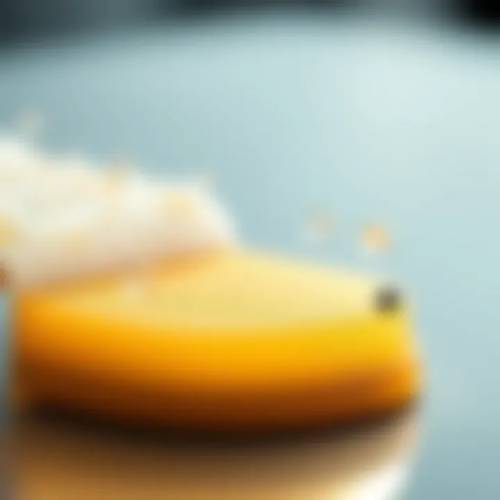 Infographic detailing the diverse applications of hollow fibre membranes