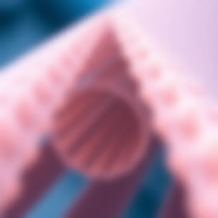 Diagram illustrating the structure of hollow fibre membranes