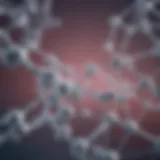 Molecular structure of hyaluronic acid