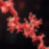 Illustration depicting hyaluronidase molecular structure