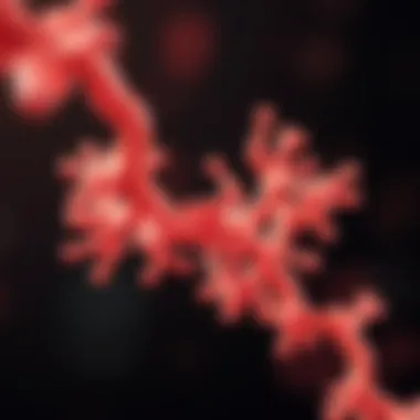 Illustration depicting hyaluronidase molecular structure