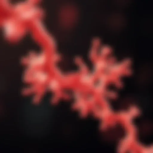 Illustration depicting hyaluronidase molecular structure