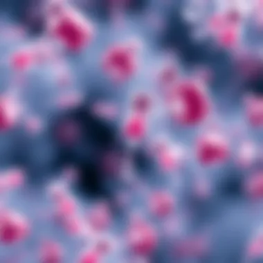 Role of Monoclonal Antibodies in Diagnostics Graphical representation of monoclonal antibodies in diagnostics