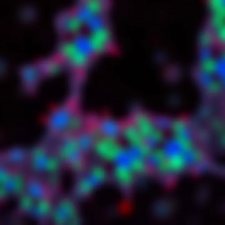 Microscopic Immunofluorescence of Cellular Structures Microscopic view of immunofluorescence showing cellular structures